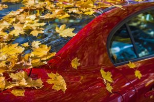 blog image blog image